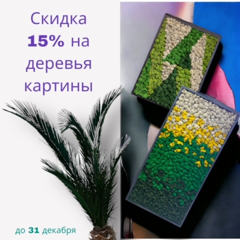  -15% на ДЕРЕВЬЯ и КАРТИНЫ в декабре