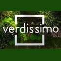 Скоро поступление из Испании стабилизированной зелени Verdissimo!